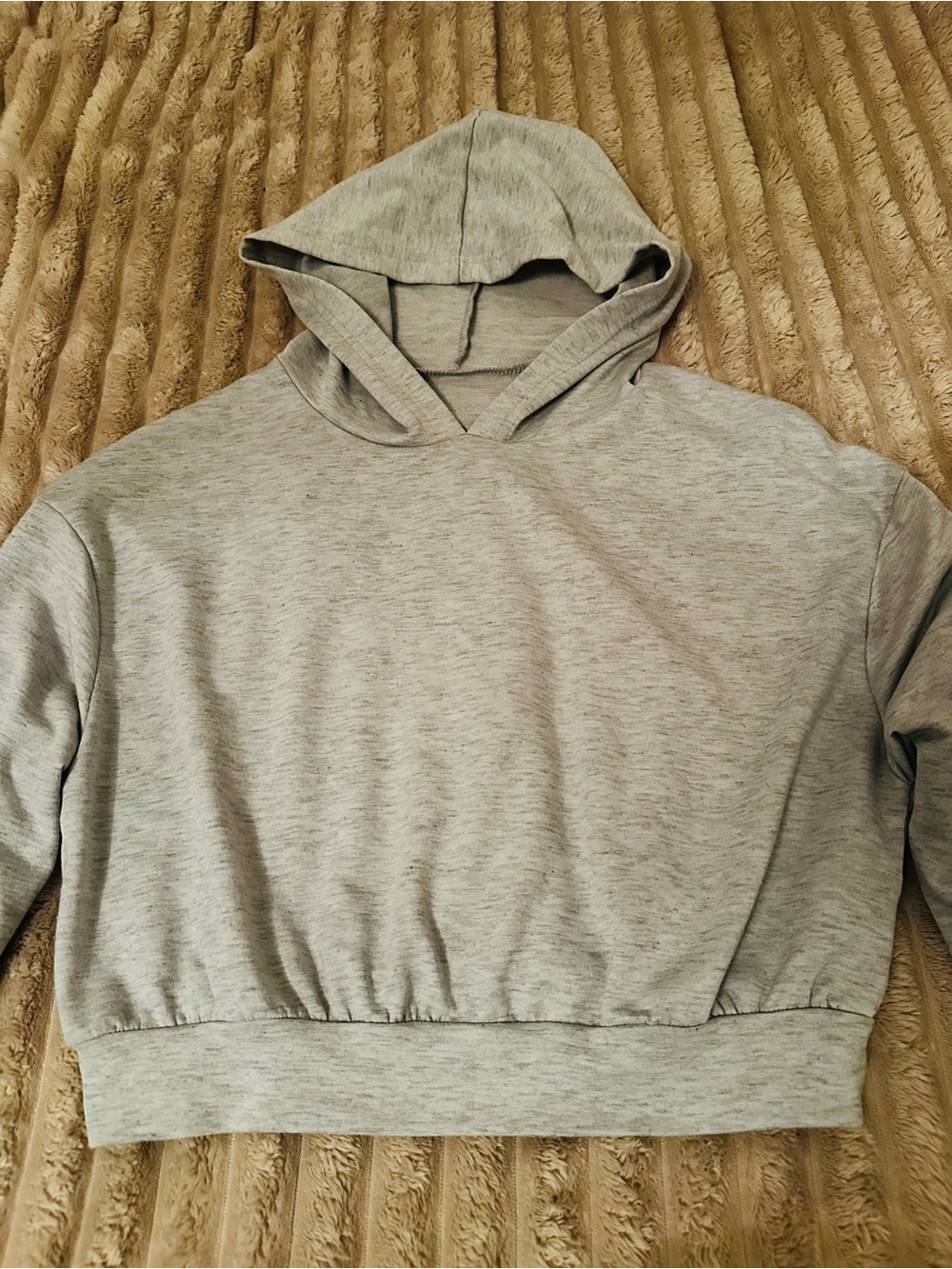 SHEIN Light Gray Cropped Hoodie